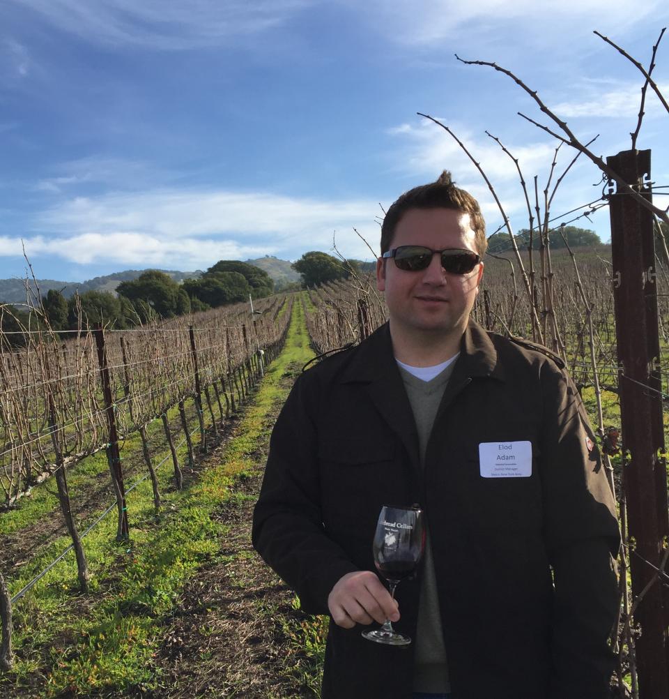 Explore the New World - Discover the New York State wines