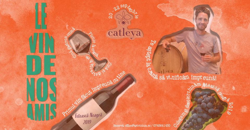 Le Vin de Nos Amis