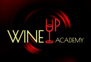 Am lansat WineUp Academy!